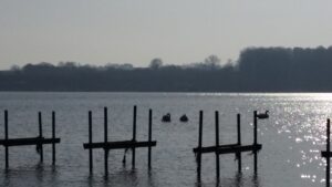 20190218_113753